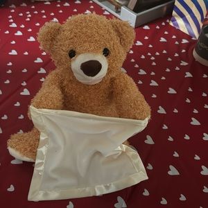 Peek a boo talking bear.